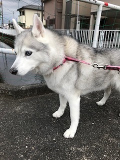 あいちゃん.jpg