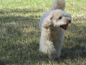 IMG_3056.jpg
